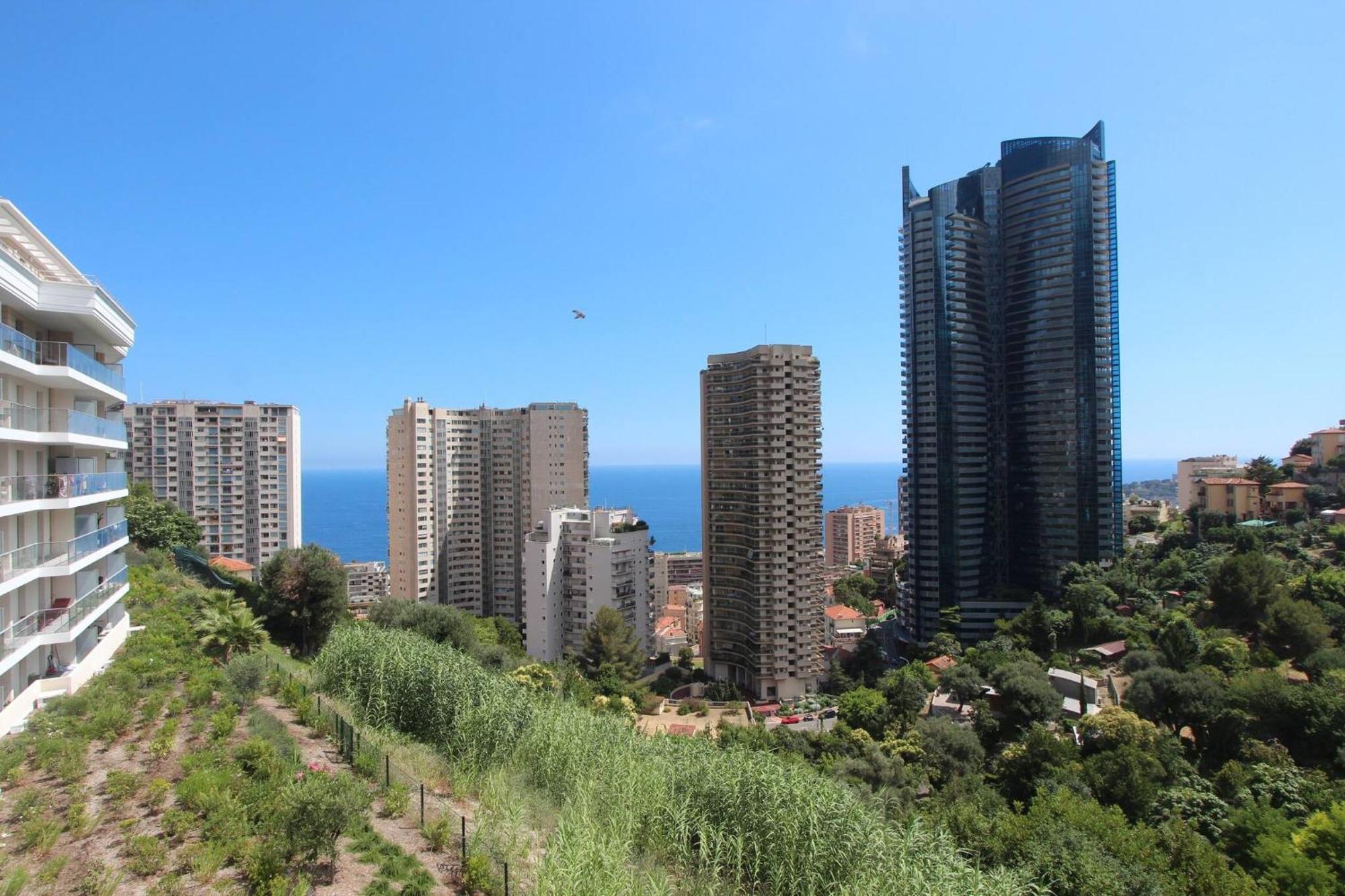 Sun Paradise Seaview&Terrace Parking&Pool Beausoleil Exteriér fotografie